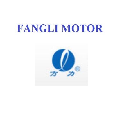 Picture for manufacturer FANGLI MOTOR