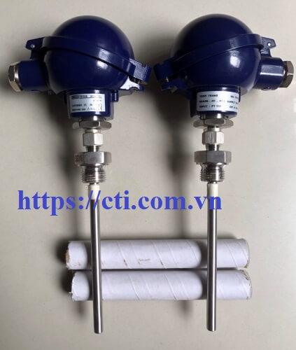 Cảm biến nhiệt TR10